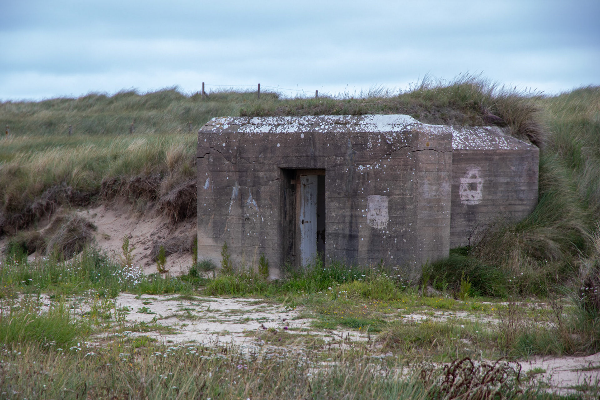 #2025 #utah beach