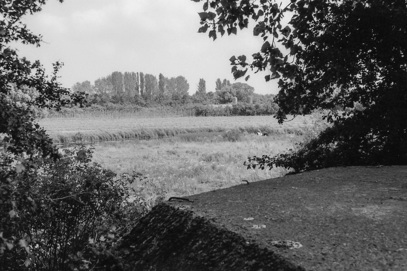 #2000 #rhenen
