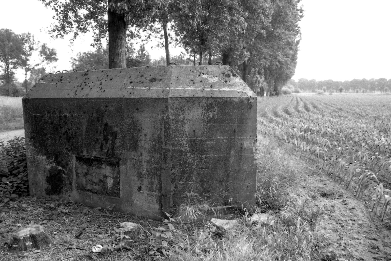 #2002 #grave