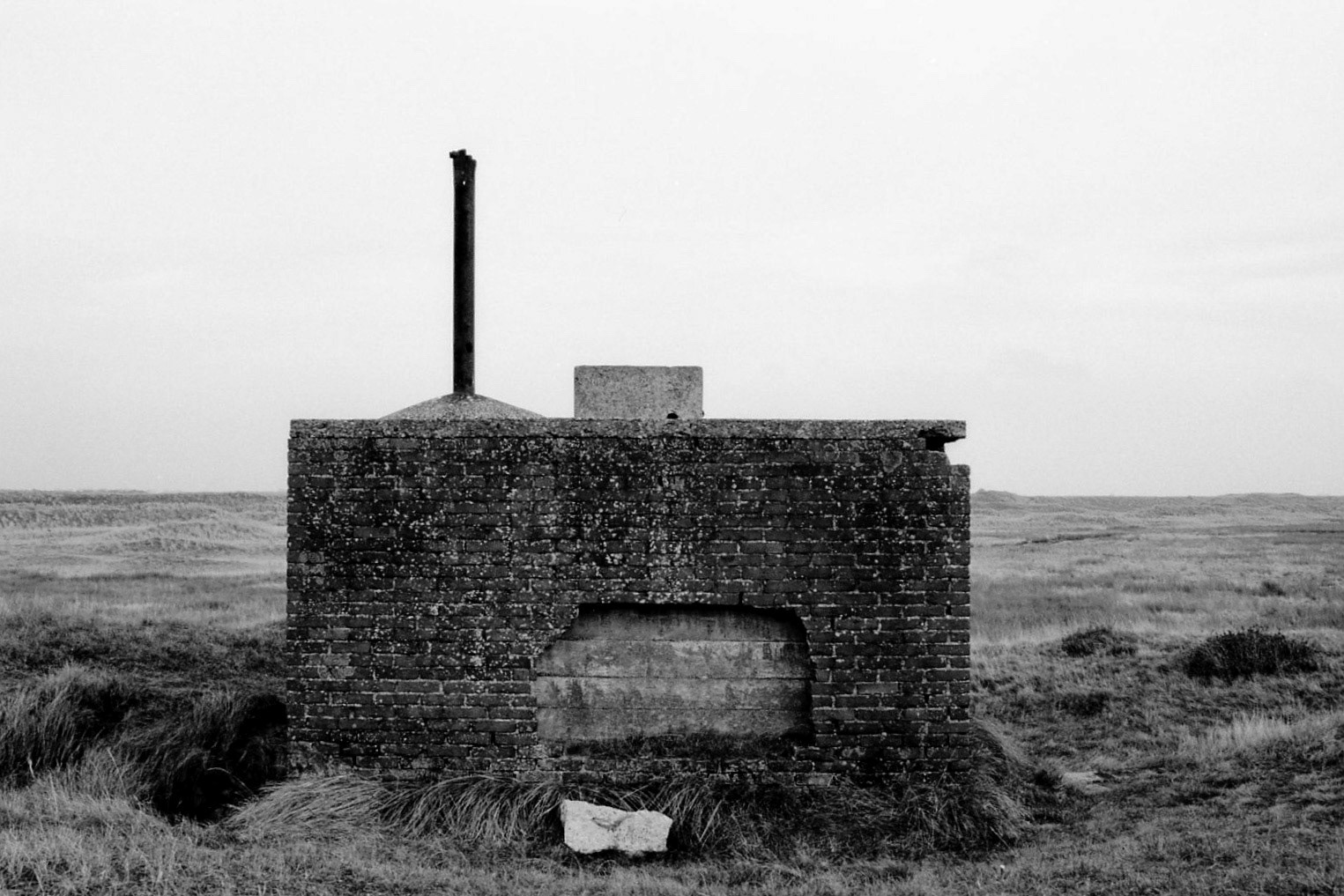 #2002 #texel