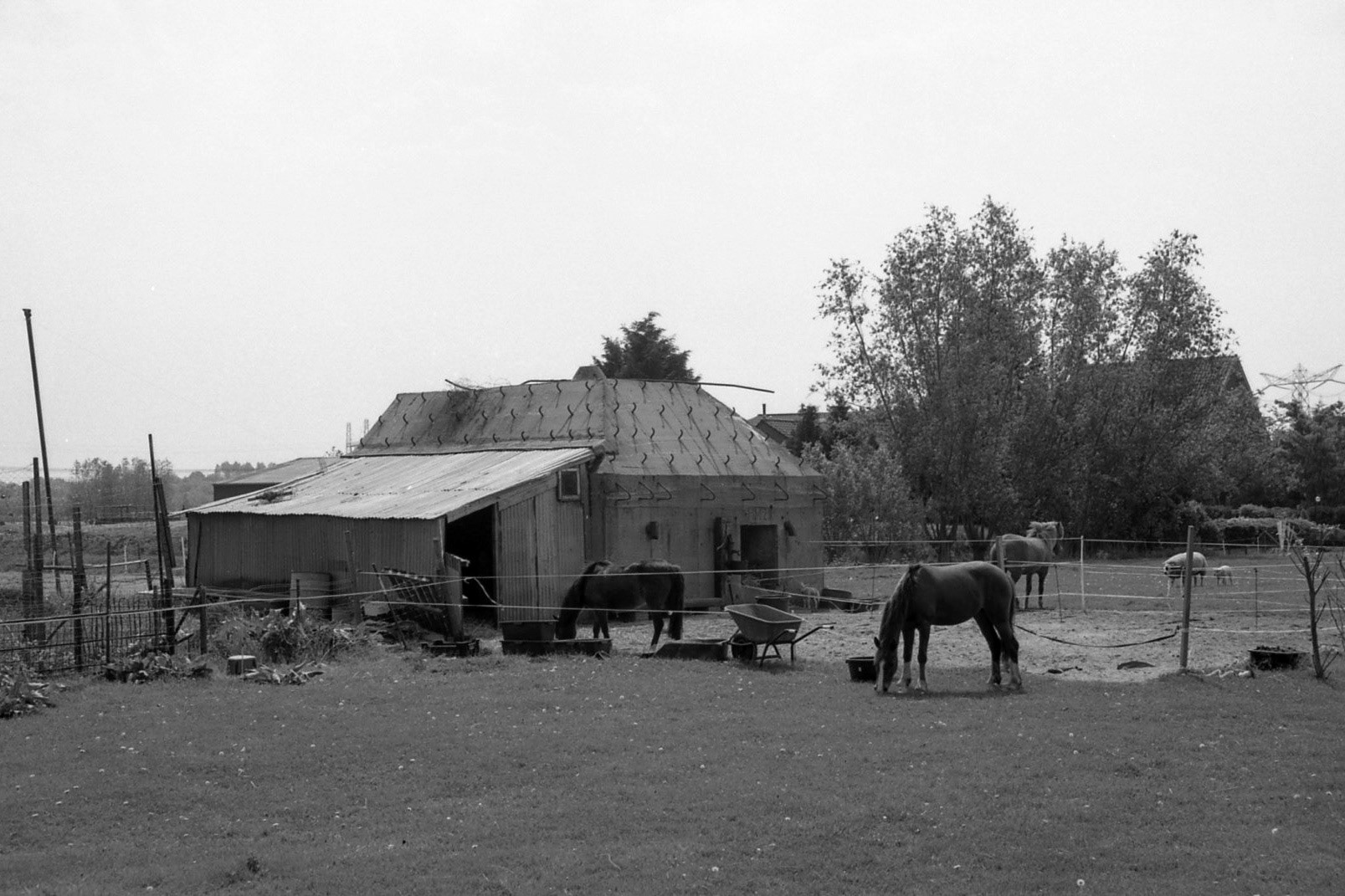 #2000 #muiderberg
