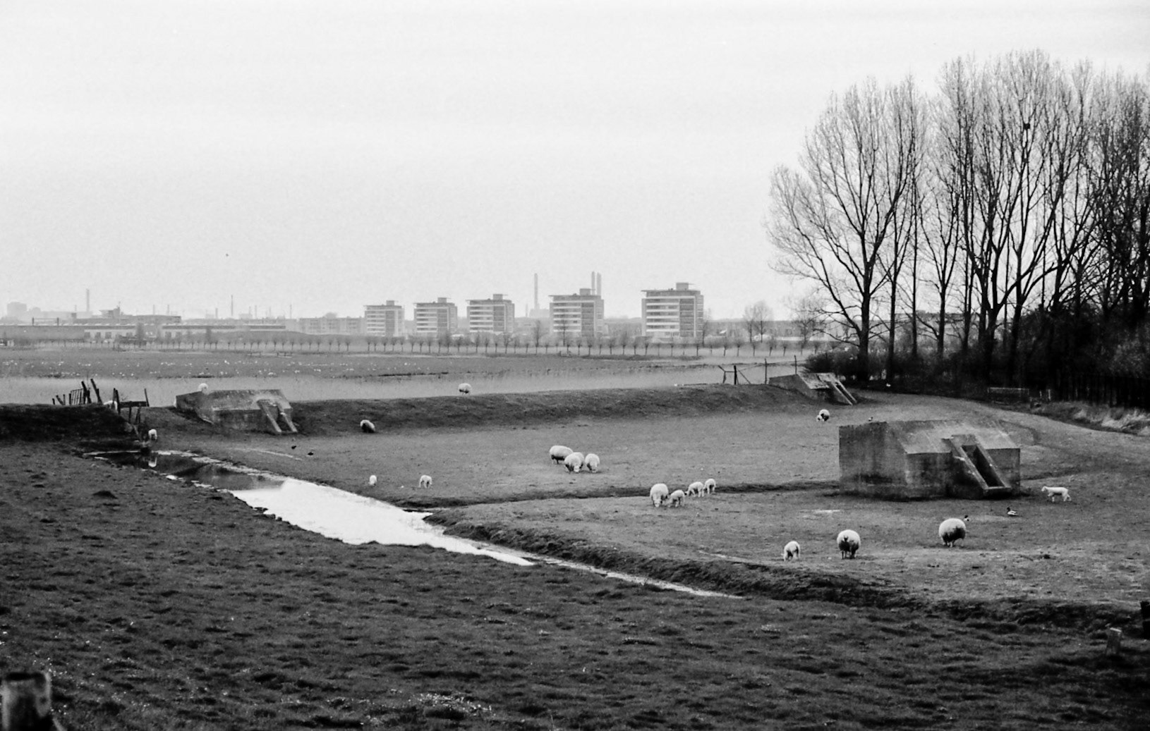 #1999 #spaarndam