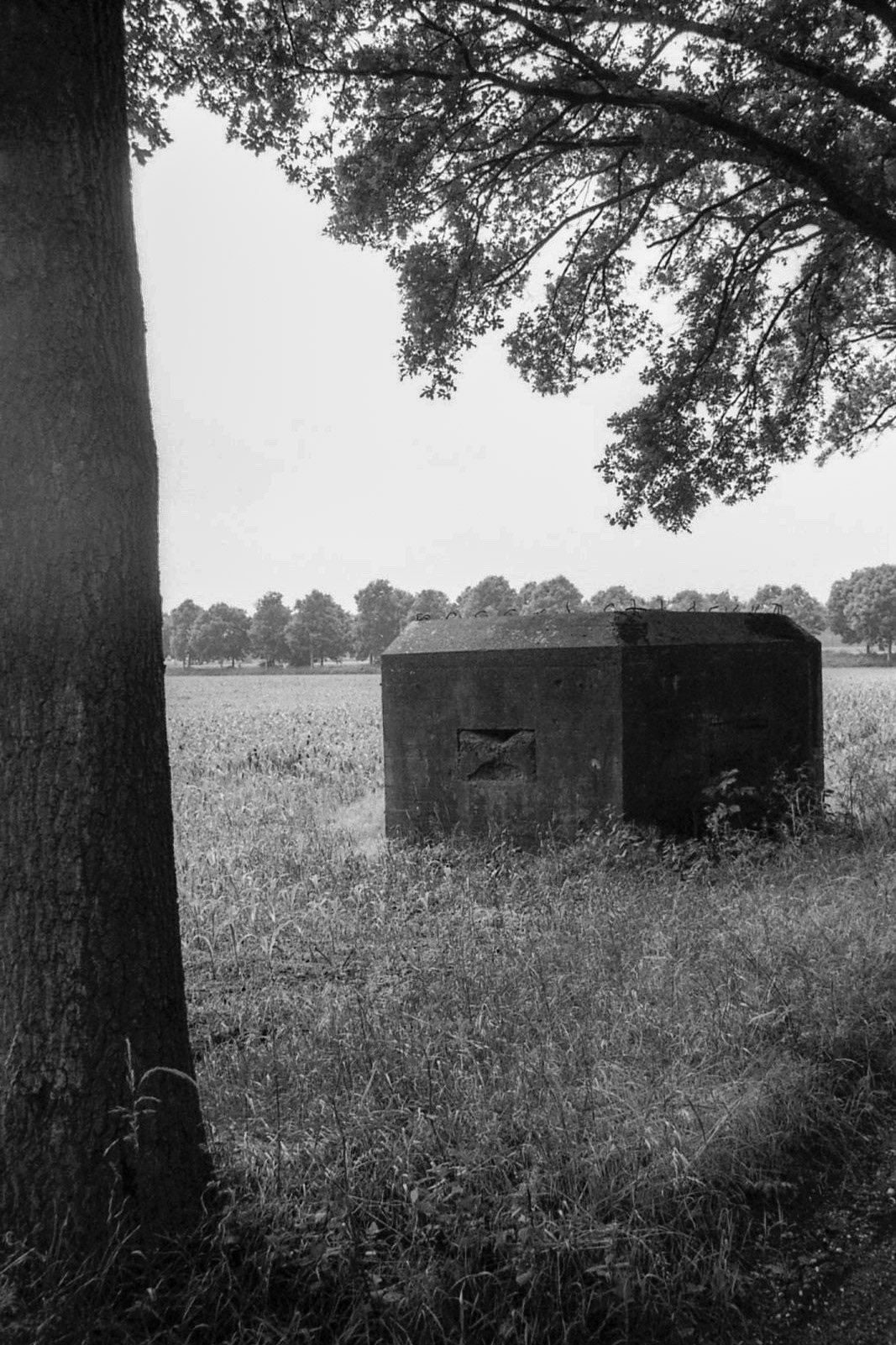 #2002 #grave