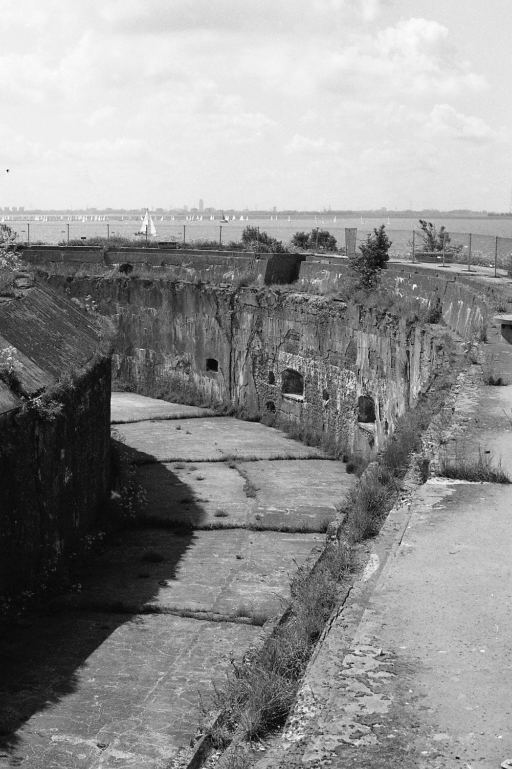#1999 #pampus